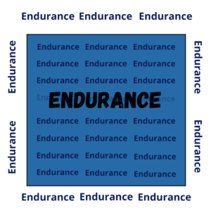 Endurance